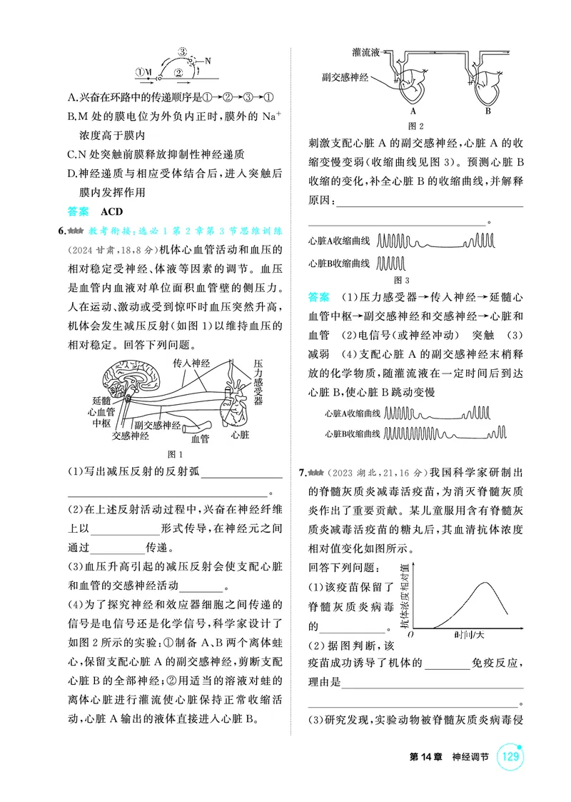 《1_精练册PDF-第14章神经调节_2026版教学资源包_202653高考总复习A版_山东版_2026版.山东版.选考总复习.生物.5·3A版_第3部分稳态与调节_第14章神经调节_1_精练册PDF》第7页预览