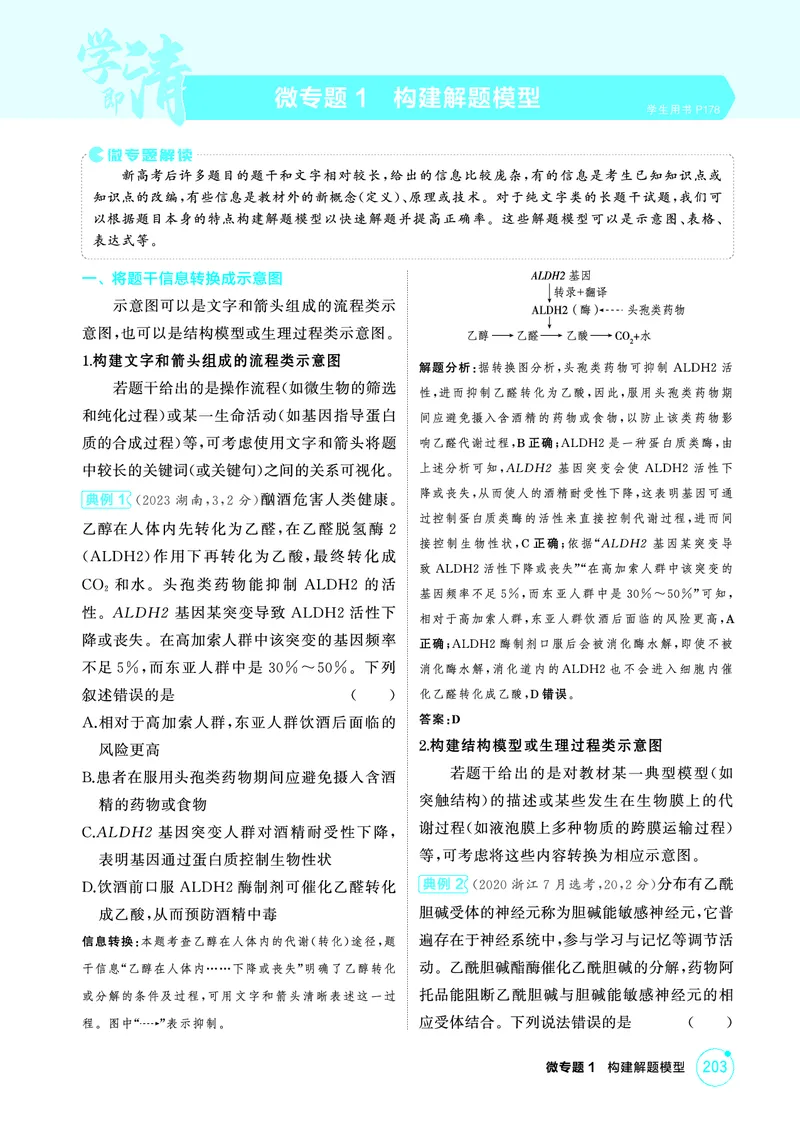 《1_精讲册PDF-微专题1构建解题模型_2026版教学资源包_202653高考总复习A版_山东版_2026版.山东版.选考总复习.生物.5·3A版_微专题_微专题1构建解题模型_2_精讲册PDF》第1页预览