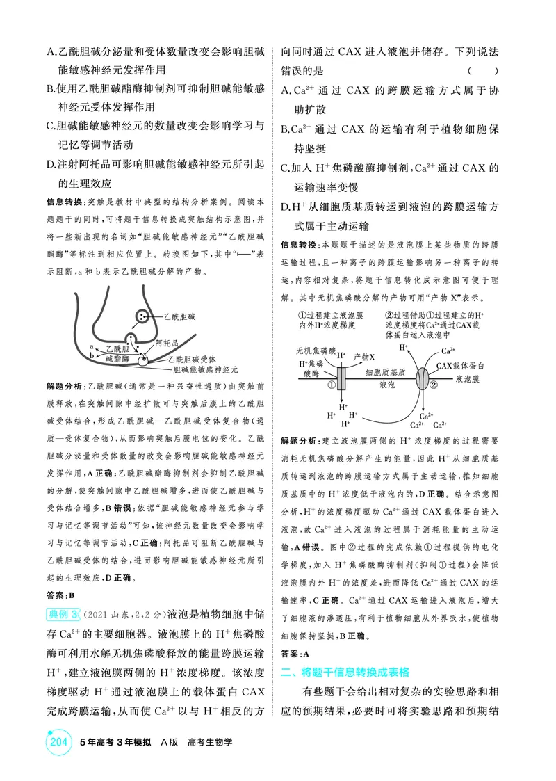《1_精讲册PDF-微专题1构建解题模型_2026版教学资源包_202653高考总复习A版_山东版_2026版.山东版.选考总复习.生物.5·3A版_微专题_微专题1构建解题模型_2_精讲册PDF》第2页预览