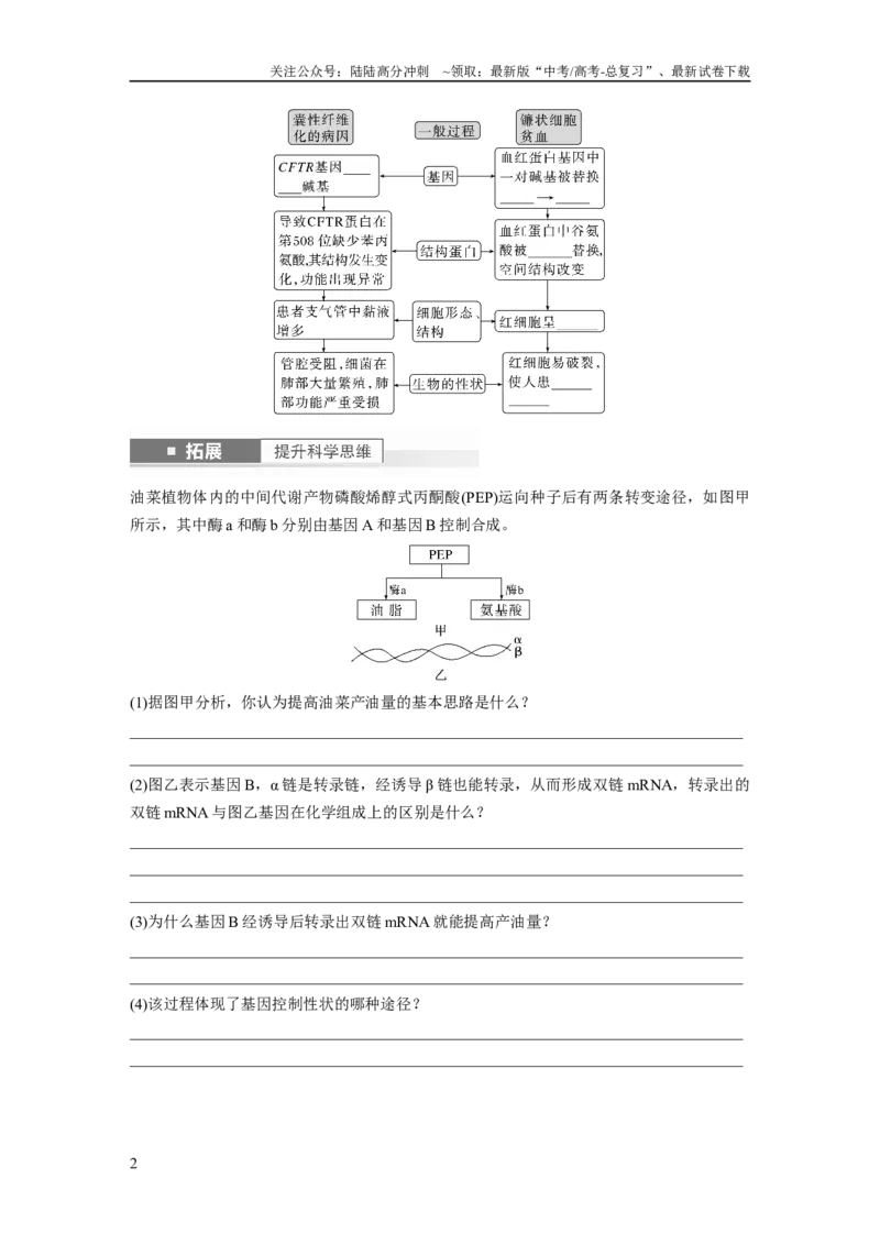 《第6单元　第4课时　基因表达与性状的关系_06-生物-高考总复习_一轮复习_2024年_2024高考生物大一轮复习课件讲义新人教版知识总结_2024年高考生物一轮复习讲义（新人教版）_大一轮复习讲义》第2页预览