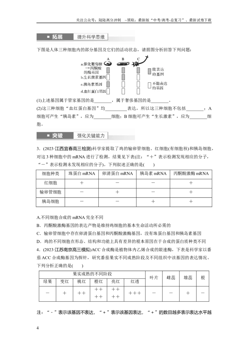 《第6单元　第4课时　基因表达与性状的关系_06-生物-高考总复习_一轮复习_2024年_2024高考生物大一轮复习课件讲义新人教版知识总结_2024年高考生物一轮复习讲义（新人教版）_大一轮复习讲义》第4页预览
