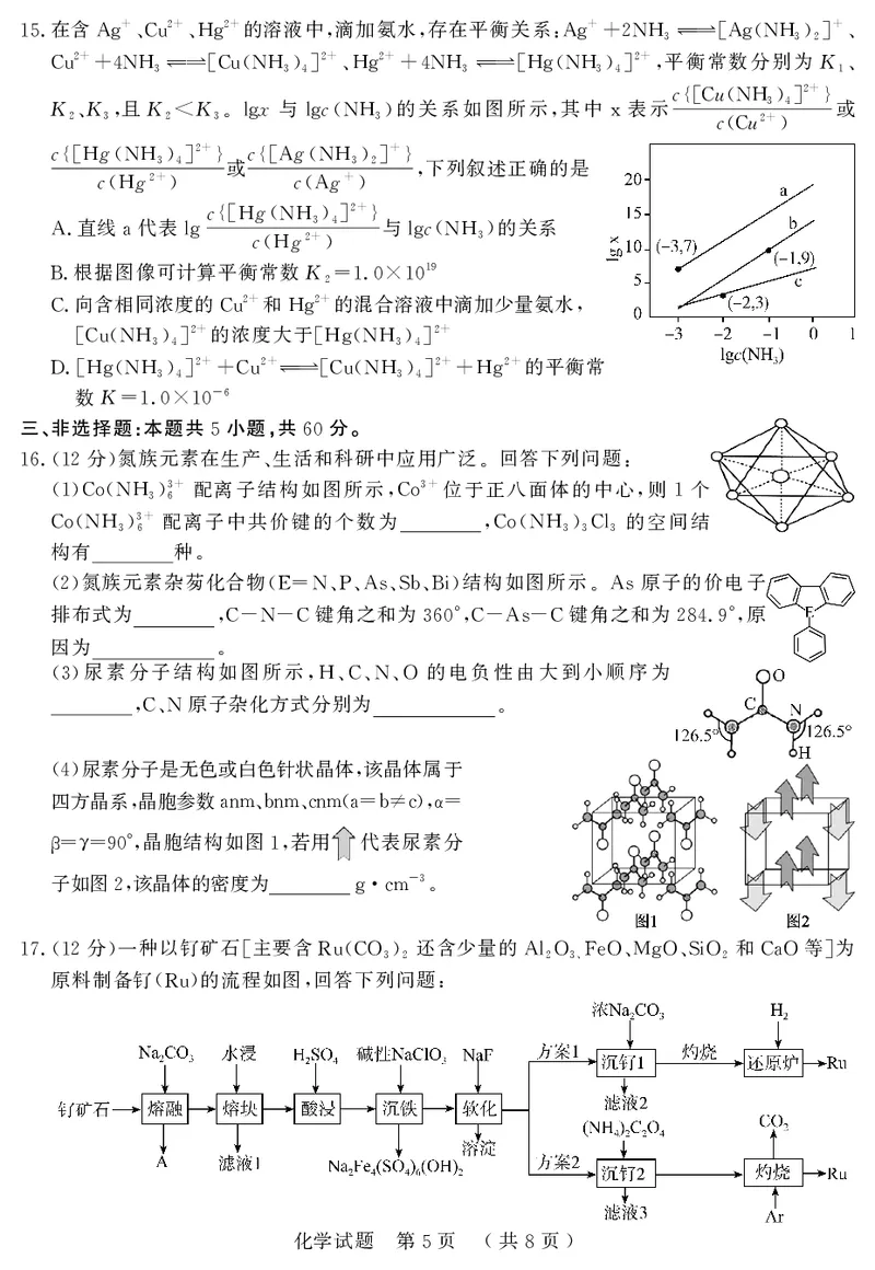 《42_05化学山东济宁市（一模）试卷+标答评分细则_2025版教学资源包_（总复习系列）2025版《5年高考3年模拟》新高考版B版（⭐全科）_2025版.新高考新教材版.选考总复习.化学.5·3B版》第5页预览
