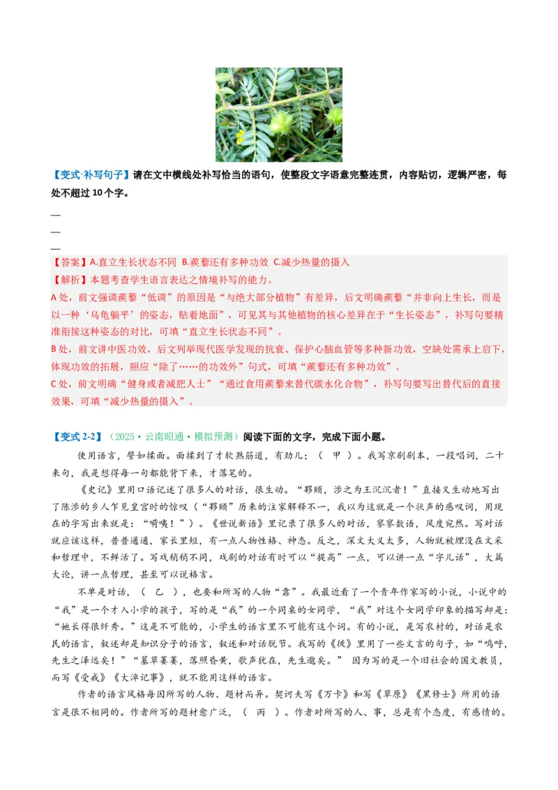 《题型03补写和语句复位类（题型专练）（全国通用）（教师版）_专项复习_2026年-语文专项复习_2026年高考语文重难点讲义专练（新高考通用）-G102_2026版》第8页预览