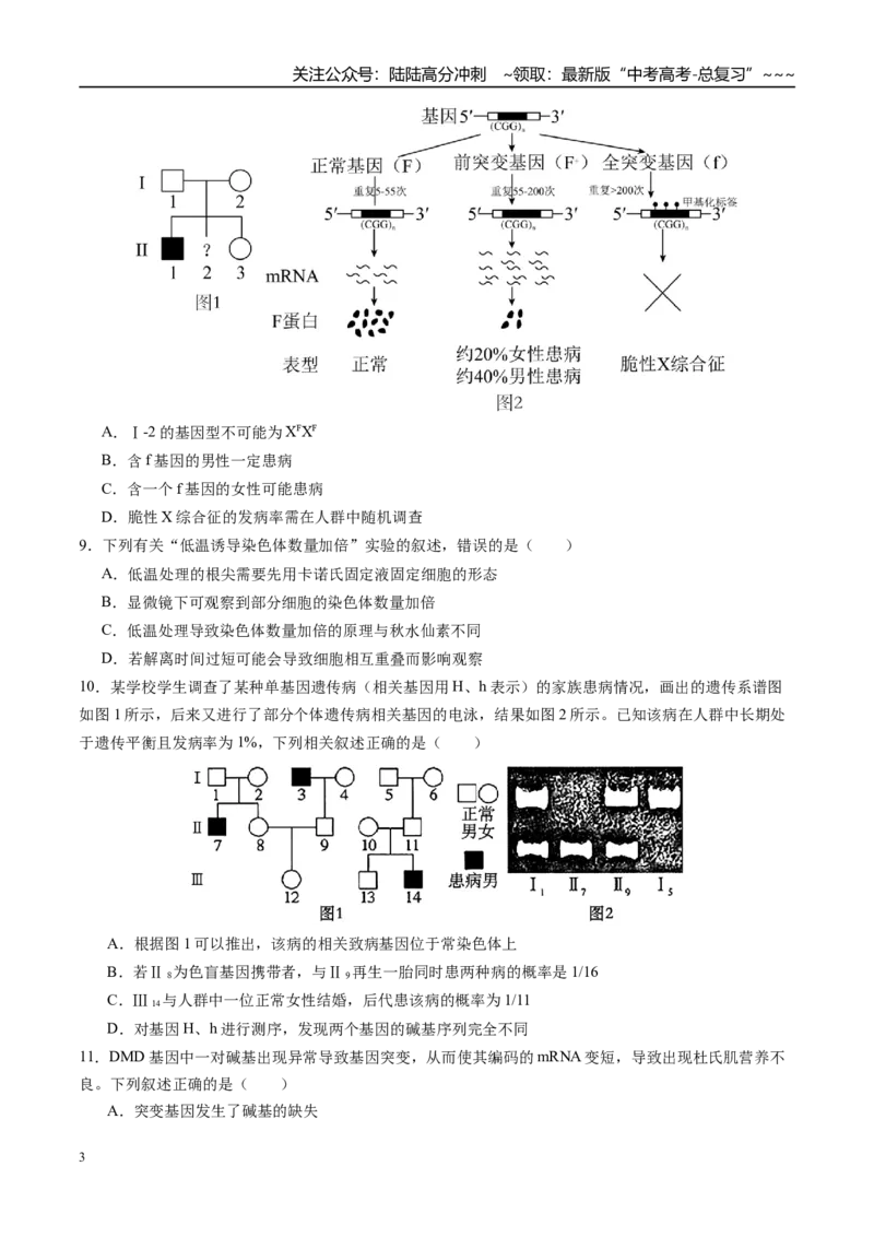 《第七单元生物的变异和进化（综合训练）（四川专用）（学生版）_06-生物-高考总复习_一轮复习_2026年-生物高考一轮复习_2026年高考生物一轮课件+讲义+练习（四川专用）-G335》第3页预览
