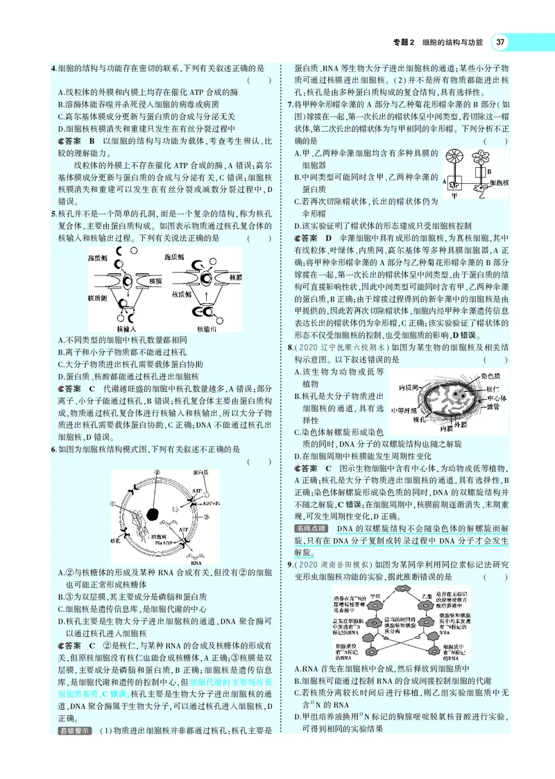 《专题2细胞的结构与功能_2022版教学资源包_五年高考三年模拟_2022版新高考版选考总复习生物5·3A版_0125143739_专题2细胞的结构与功能_专题PDF_专题PDF_专题电子书》第8页预览