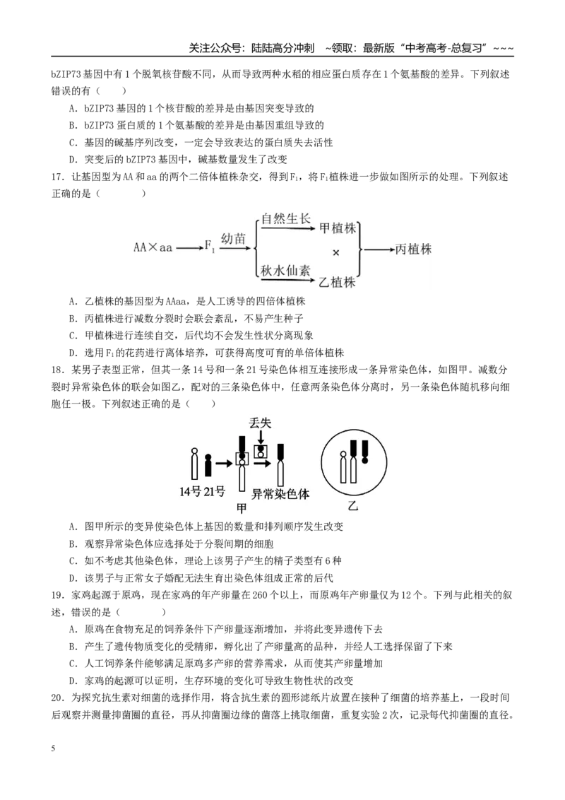 《第七单元生物的变异和进化（综合训练）（学生版）（全国通用）_06-生物-高考总复习_一轮复习_2026年-生物高考一轮复习_2026年高考生物一轮复习讲义+练习+课件（新教材新高考）-G55_2026版》第5页预览