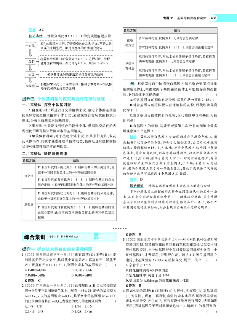 《专题11　基因的自由组合定律_2022版教学资源包_五年高考三年模拟_2022版新高考版选考总复习生物5·3A版_0125143739_专题11基因的自由组合定律_专题PDF_专题PDF_专题电子书》第10页预览