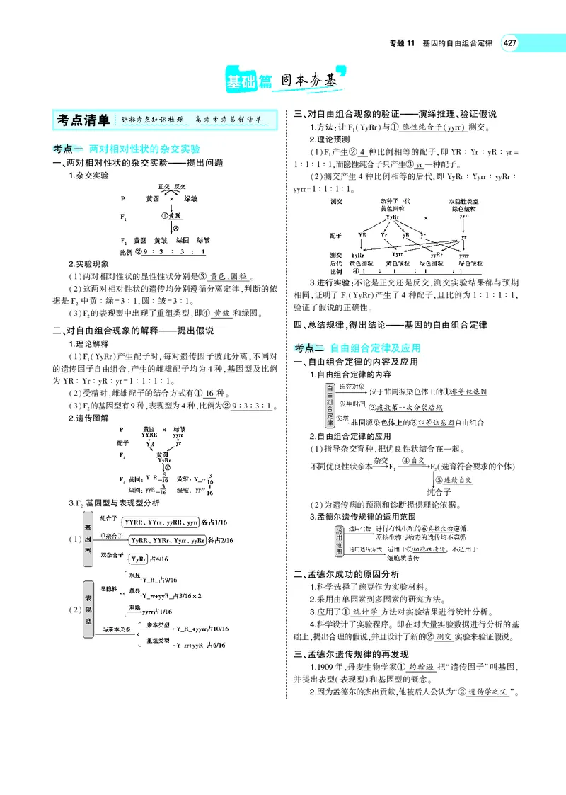 《专题11　基因的自由组合定律_2022版教学资源包_五年高考三年模拟_2022版新高考版选考总复习生物5·3A版_0125143739_专题11基因的自由组合定律_专题PDF_专题PDF_专题电子书》第2页预览