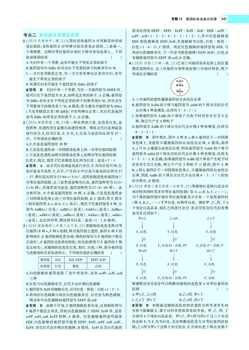 《专题11　基因的自由组合定律_2022版教学资源包_五年高考三年模拟_2022版新高考版选考总复习生物5·3A版_0125143739_专题11基因的自由组合定律_专题PDF_专题PDF_专题电子书》第6页预览