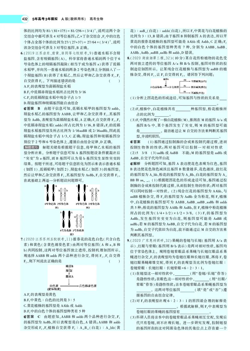《专题11　基因的自由组合定律_2022版教学资源包_五年高考三年模拟_2022版新高考版选考总复习生物5·3A版_0125143739_专题11基因的自由组合定律_专题PDF_专题PDF_专题电子书》第7页预览