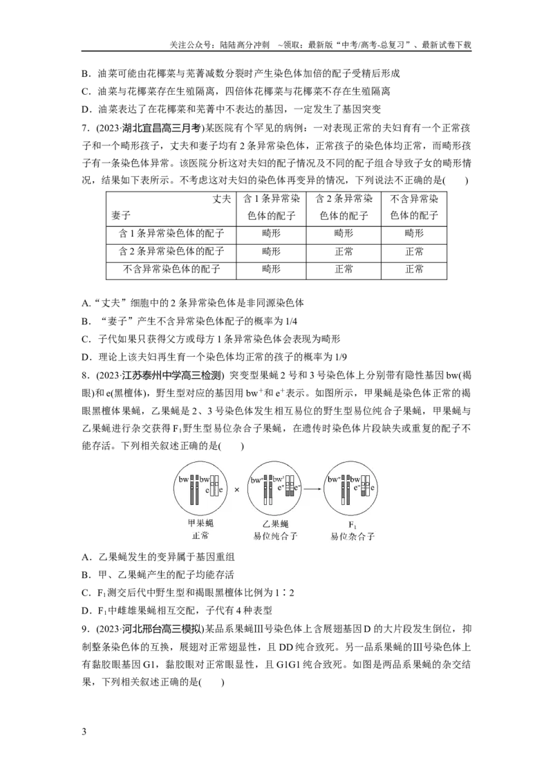 《第7单元　课时练2　染色体变异_06-生物-高考总复习_一轮复习_2024年_2024高考生物大一轮复习课件讲义新人教版知识总结_2024年高考生物一轮复习讲义（新人教版）_学生版在此文件夹》第3页预览