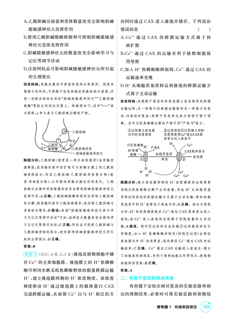 《1_精讲册-微专题1构建解题模型_2026版教学资源包_202653高考总复习A版_浙江版_2026版.浙江版.选考总复习.生物.5·3A版_微专题_微专题1构建解题模型_2_精讲册PDF》第2页预览