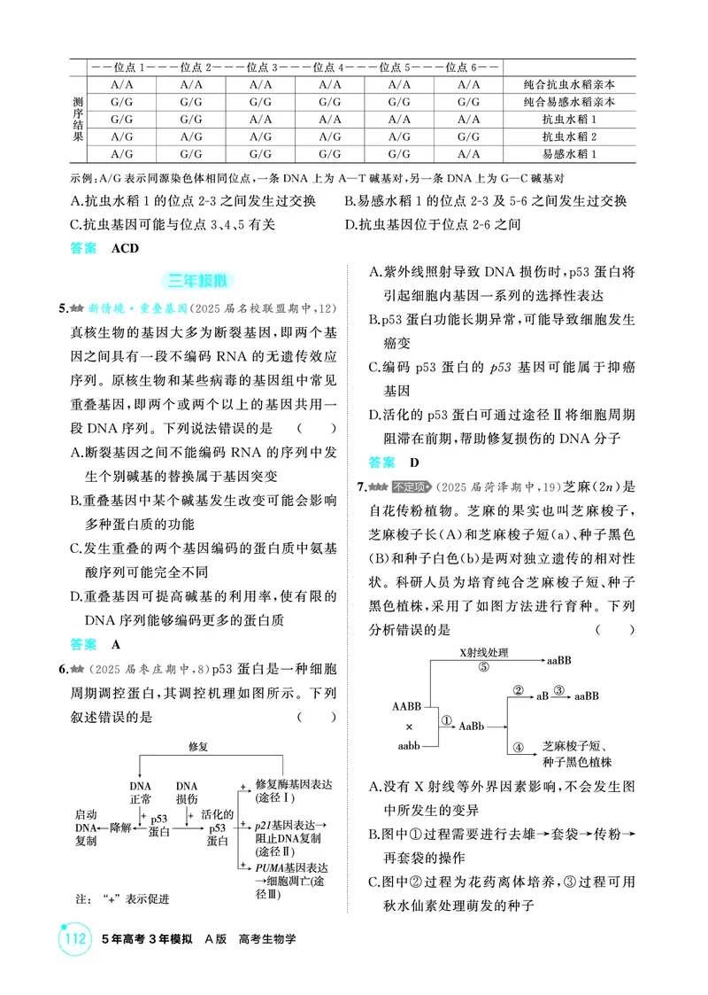 《1_精练册PDF-第11章基因突变及其他变异_2026版教学资源包_202653高考总复习A版_山东版_2026版.山东版.选考总复习.生物.5·3A版_第2部分遗传与进化_第11章基因突变及其他变异_1_精练册PDF》第2页预览