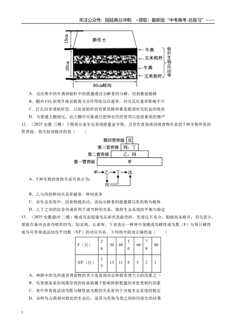 《第九单元生物与环境（综合训练）（学生版）（安徽专用）_06-生物-高考总复习_一轮复习_2026年-生物高考一轮复习_2026年高考生物一轮课件+讲义+练习（安徽专用）-G326_第九单元生物与环境》第5页预览