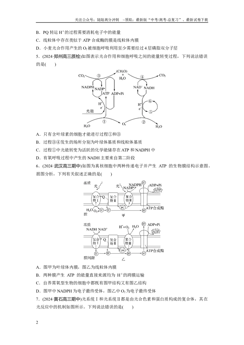 《第三单元　课时练16光合作用的原理_06-生物-高考总复习_一轮复习_2025年_2025年大一轮复习讲义人教版生物_资料_1-资料_大一轮复习讲义学生专用_2025一轮复习73练》第2页预览