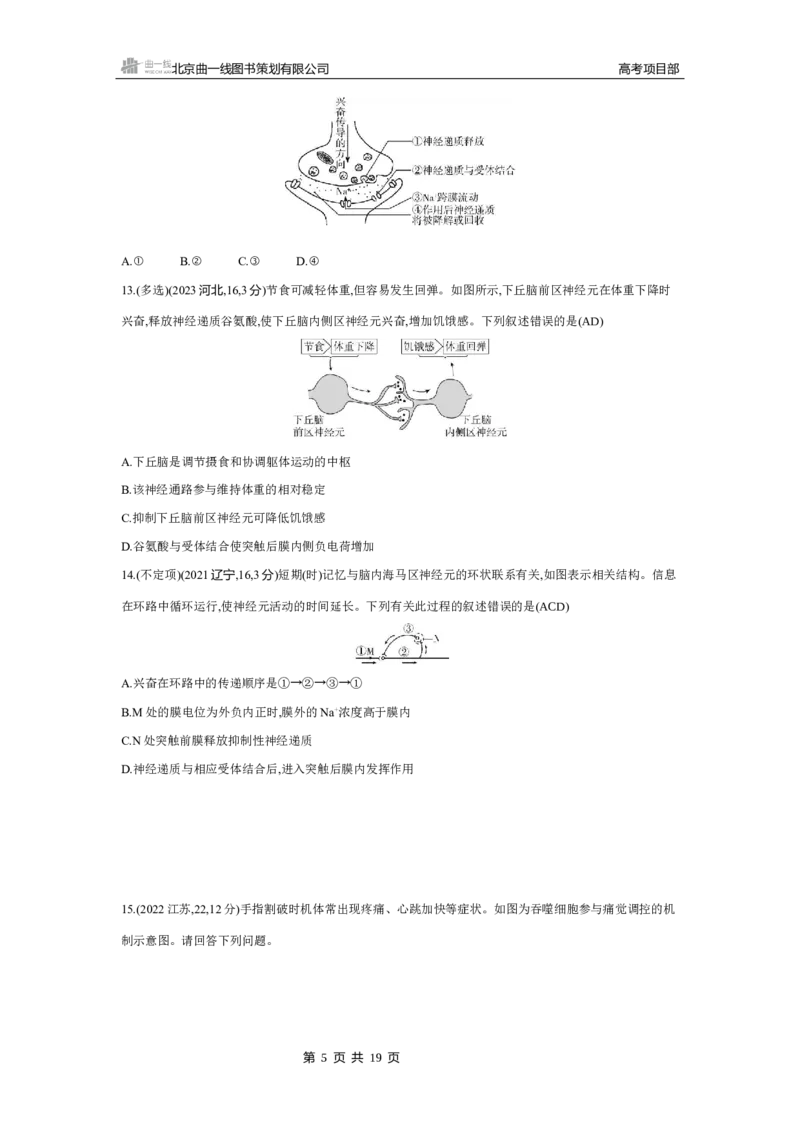 《4_2025版5·3B版新高考版练习册WORD_2025版教学资源包_（总复习系列）2025版《5年高考3年模拟》新高考版B版（⭐全科）_2025版.新高考新教材版.选考总复习.生物.5·3B版_专题13神经调节》第5页预览