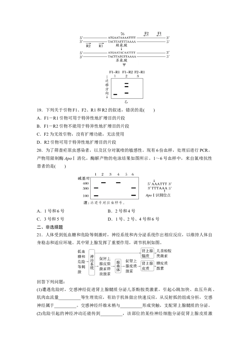 《2024年6月浙江省普通高校招生选考科目考试生物学(1)_2026版高中《二三轮复习+冲刺复习》_2021-2025生物高考题_2024生物高考题_学生》第5页预览