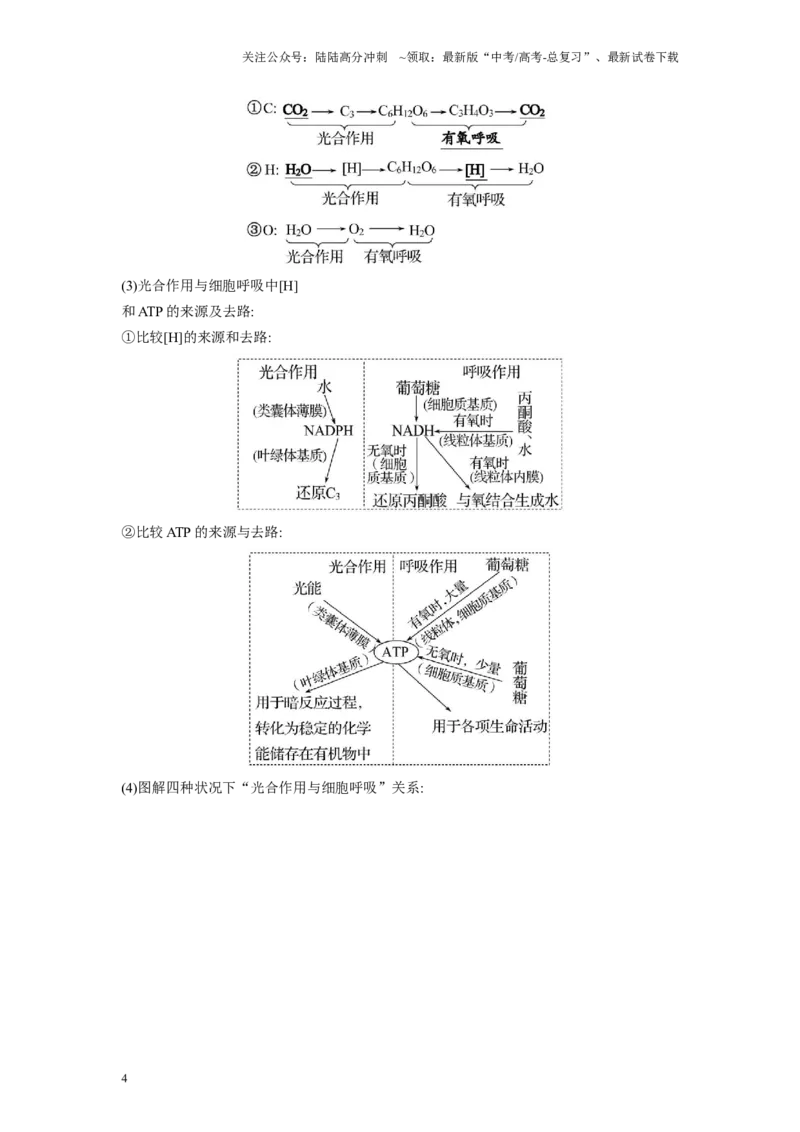 《解密06光合作用与能量转化（讲义)-高频考点解密2023年高考生物二轮复习讲义+分层训练（新教材）_06-生物-高考总复习_二轮复习_2024年_资料》第4页预览
