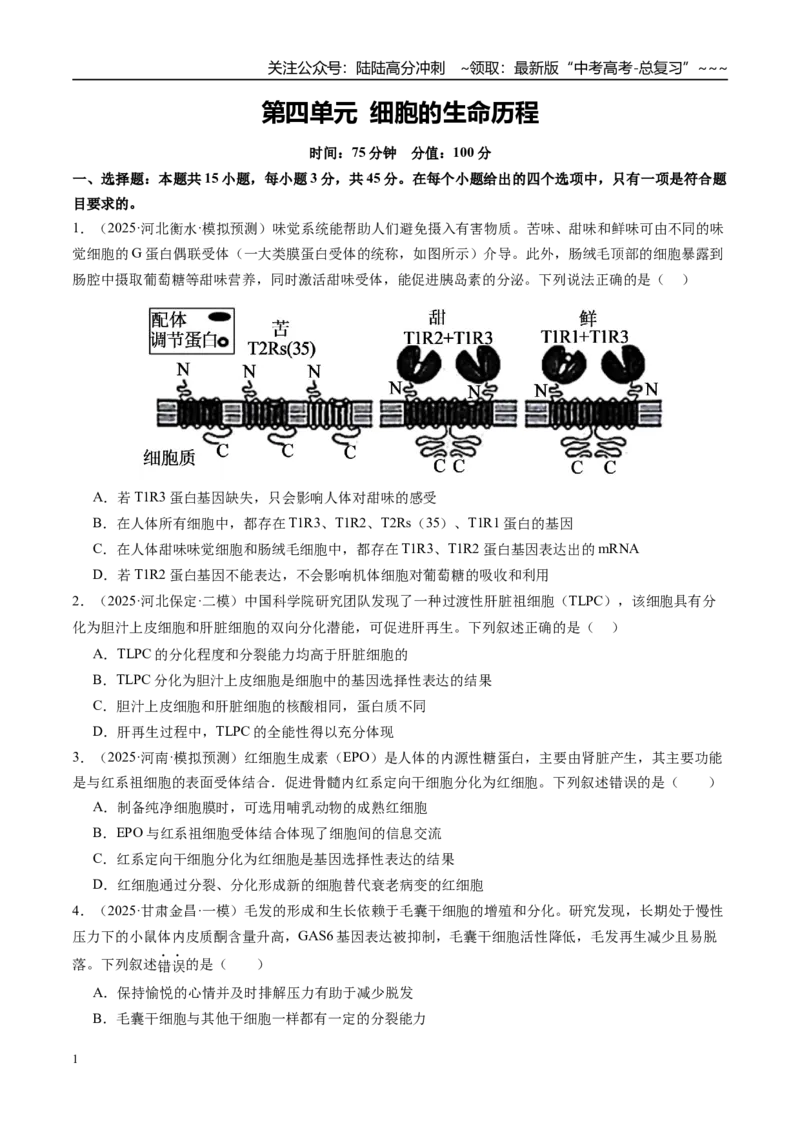 《第四单元细胞的生命历程（综合训练）（学生版）（安徽专用）_06-生物-高考总复习_一轮复习_2026年-生物高考一轮复习_2026年高考生物一轮课件+讲义+练习（安徽专用）-G326》第1页预览