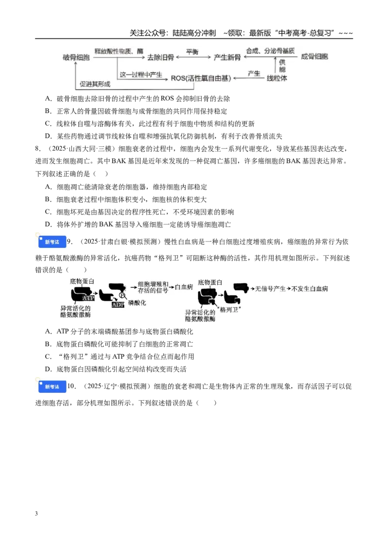 《第四单元细胞的生命历程（综合训练）（学生版）（安徽专用）_06-生物-高考总复习_一轮复习_2026年-生物高考一轮复习_2026年高考生物一轮课件+讲义+练习（安徽专用）-G326》第3页预览