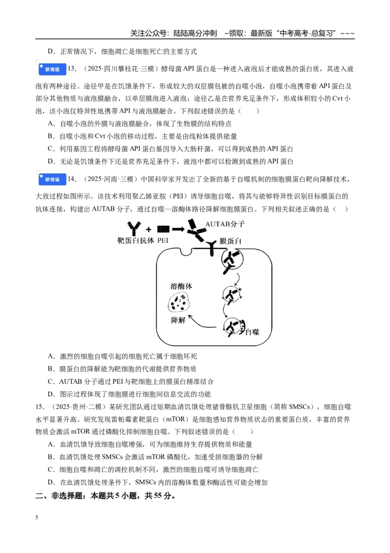 《第四单元细胞的生命历程（综合训练）（学生版）（安徽专用）_06-生物-高考总复习_一轮复习_2026年-生物高考一轮复习_2026年高考生物一轮课件+讲义+练习（安徽专用）-G326》第5页预览