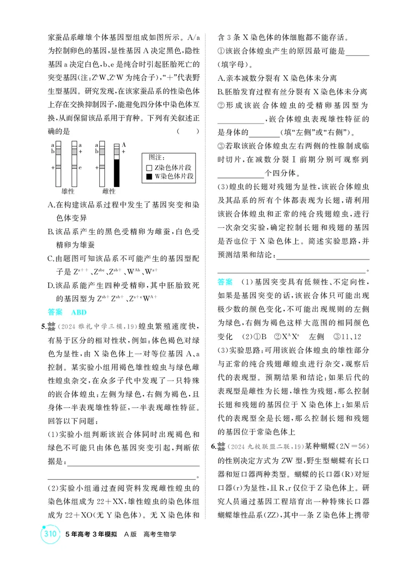 《1_精练册-第8章伴性遗传与人类遗传病_2026版教学资源包_202653高考总复习A版_湖南版_2026版.湖南版.选考总复习.生物.5·3A版_第2部分遗传与进化_第8章伴性遗传与人类遗传病_4_PDF教参电子书》第4页预览