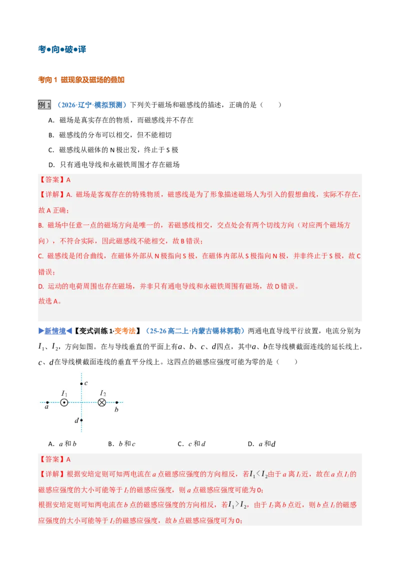 《第25讲磁场的描述与磁场对电流的作用（复习讲义）（黑吉辽蒙专用）（教师版）_地理_2027年高考地理一轮_2027年高考物理一轮课件+讲义+练习（黑吉辽蒙专用）-G330_2027版》第8页预览