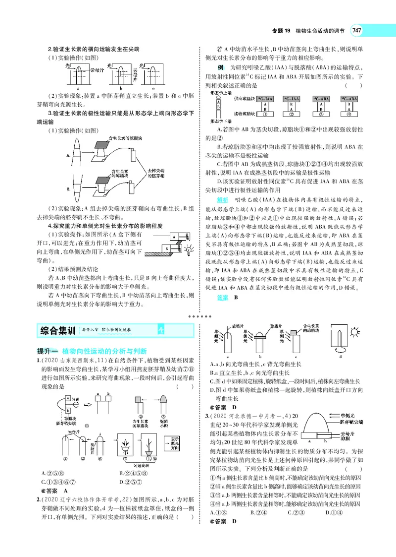 《专题19　植物生命活动的调节_2022版教学资源包_五年高考三年模拟_2022版新高考版选考总复习生物5·3A版_0125143739_专题19植物生命活动的调节_专题PDF_专题PDF_专题电子书》第10页预览