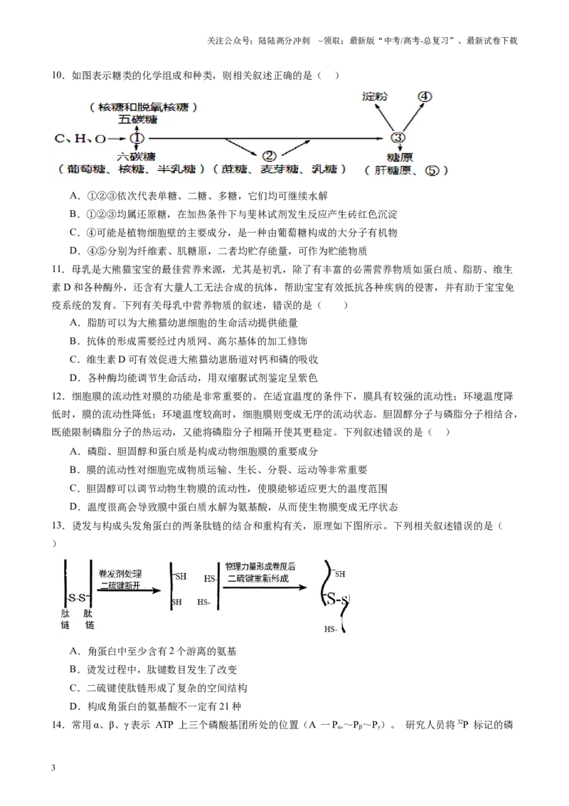 《第一单元细胞的概述及其组成分子（测试）（学生版）_06-生物-高考总复习_一轮复习_2025年_2025年高考生物一轮复习讲义+练习+课件（新教材新高考）_第一单元细胞的概述及其分子组成》第3页预览