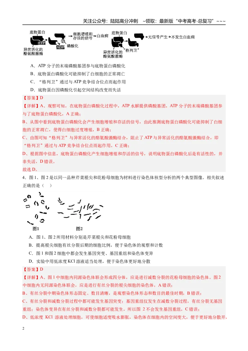 《第四单元细胞的生命历程（综合训练）（福建专用）（教师版）_06-生物-高考总复习_一轮复习_2026年-生物高考一轮复习_2026年高考生物一轮课件+讲义+练习（福建专用）-G328》第2页预览