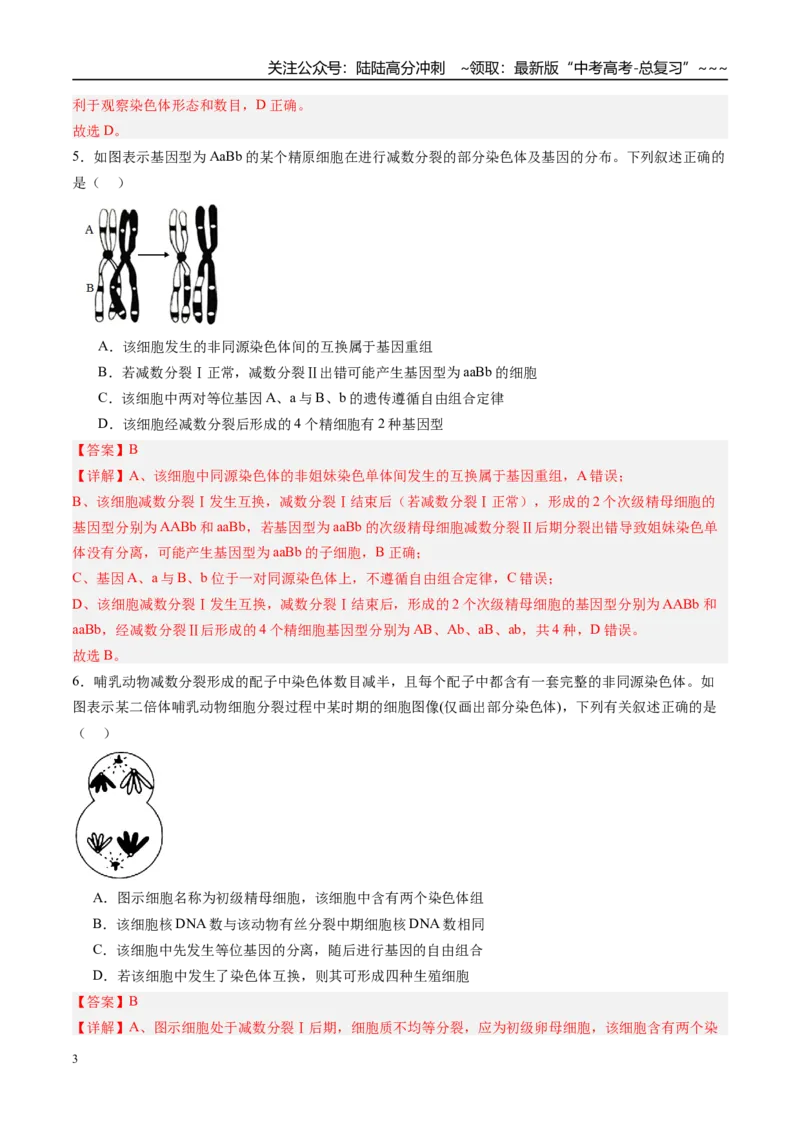 《第四单元细胞的生命历程（综合训练）（福建专用）（教师版）_06-生物-高考总复习_一轮复习_2026年-生物高考一轮复习_2026年高考生物一轮课件+讲义+练习（福建专用）-G328》第3页预览