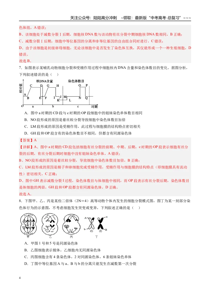 《第四单元细胞的生命历程（综合训练）（福建专用）（教师版）_06-生物-高考总复习_一轮复习_2026年-生物高考一轮复习_2026年高考生物一轮课件+讲义+练习（福建专用）-G328》第4页预览