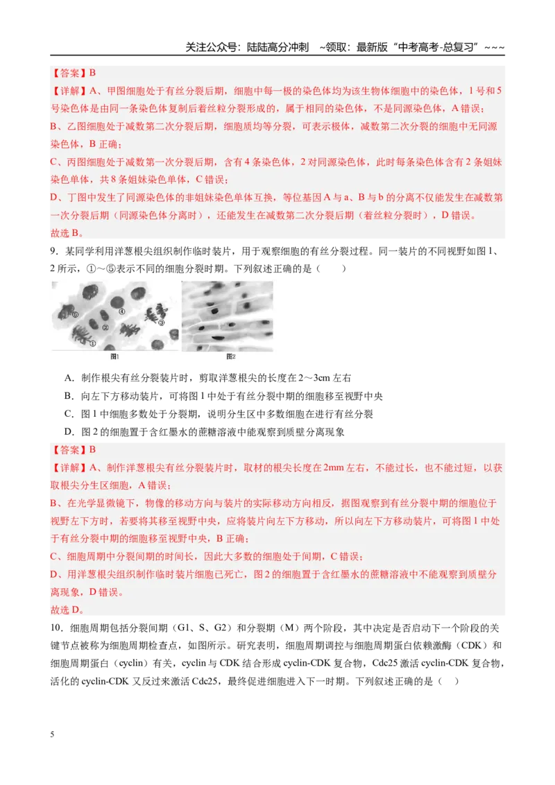 《第四单元细胞的生命历程（综合训练）（福建专用）（教师版）_06-生物-高考总复习_一轮复习_2026年-生物高考一轮复习_2026年高考生物一轮课件+讲义+练习（福建专用）-G328》第5页预览