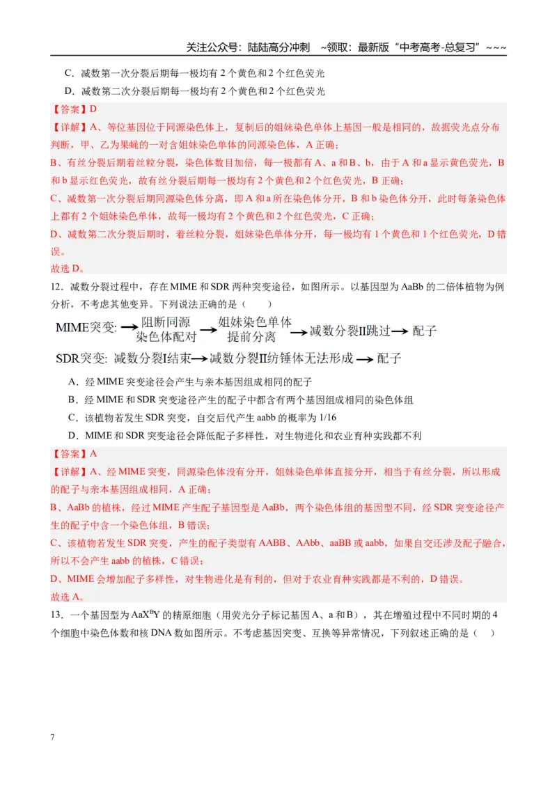 《第四单元细胞的生命历程（综合训练）（福建专用）（教师版）_06-生物-高考总复习_一轮复习_2026年-生物高考一轮复习_2026年高考生物一轮课件+讲义+练习（福建专用）-G328》第7页预览