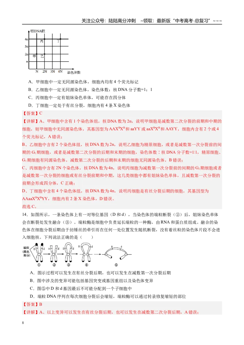 《第四单元细胞的生命历程（综合训练）（福建专用）（教师版）_06-生物-高考总复习_一轮复习_2026年-生物高考一轮复习_2026年高考生物一轮课件+讲义+练习（福建专用）-G328》第8页预览