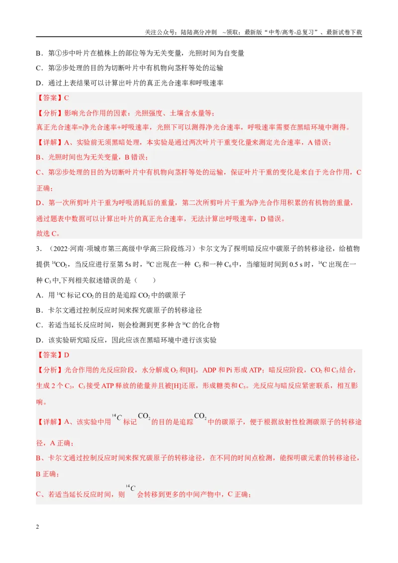 《解密06光合作用与能量转化（分层训练）（解析版）_06-生物-高考总复习_二轮复习_2024年_2024年新教材高考生物二轮复习讲义分层训练题考点_资料》第2页预览