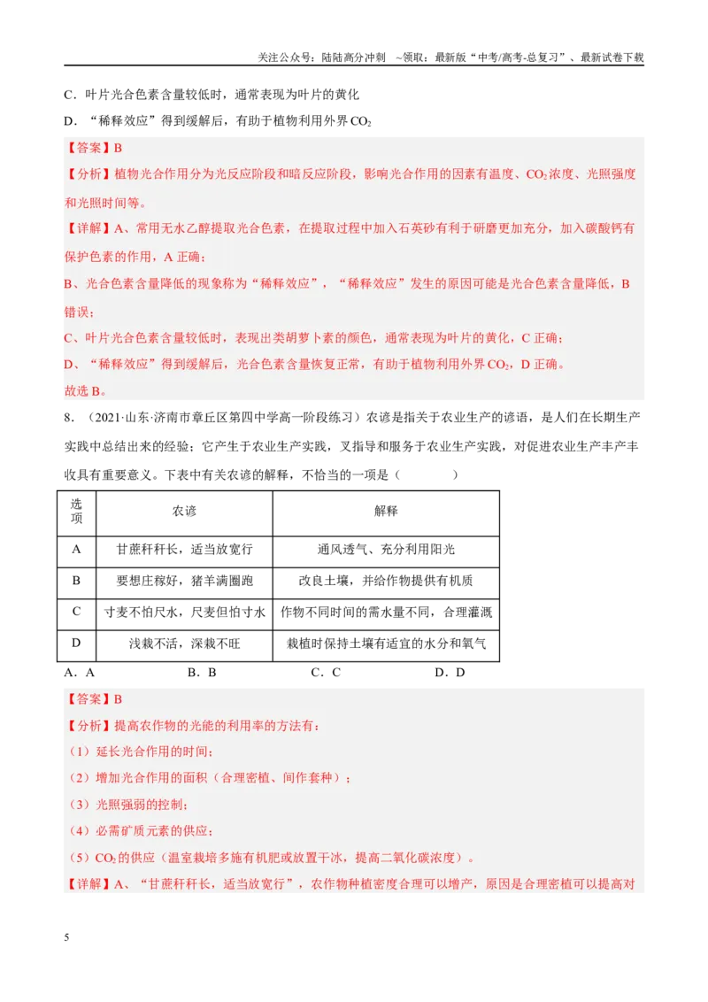 《解密06光合作用与能量转化（分层训练）（解析版）_06-生物-高考总复习_二轮复习_2024年_2024年新教材高考生物二轮复习讲义分层训练题考点_资料》第5页预览