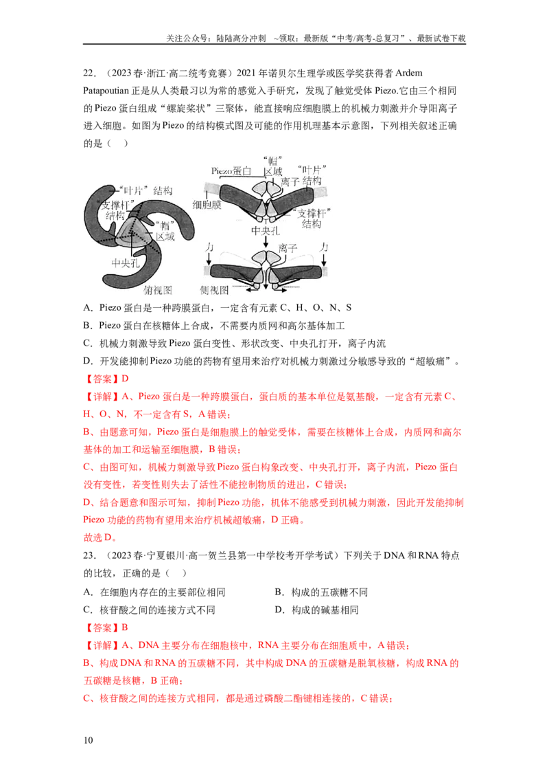 《第一单元细胞的概述及其分子组成（解析版）_06-生物-高考总复习_一轮复习_2024年_2024年高考生物一轮复习讲练测(课件+讲义+练习)（新高考）_单元测试》第10页预览