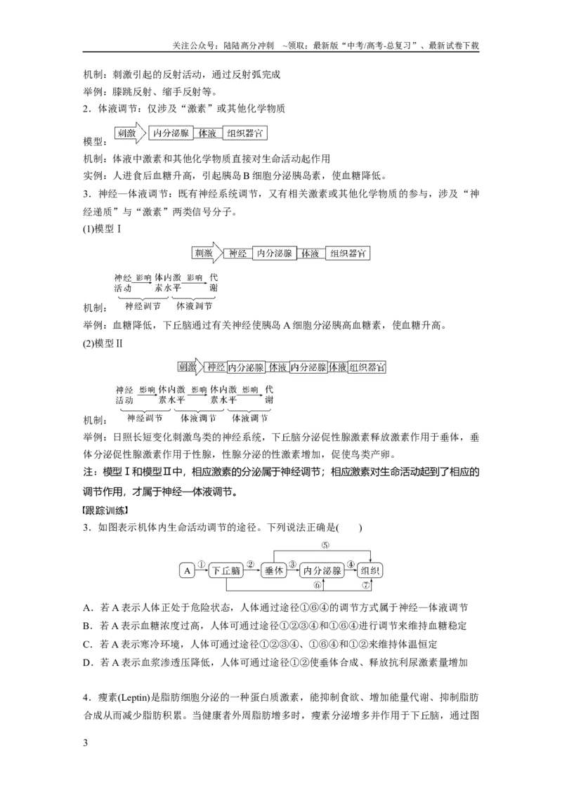 《第8单元　微专题六　动物生命活动调节模型的构建和分析_06-生物-高考总复习_一轮复习_2024年_2024高考生物大一轮复习课件讲义新人教版知识总结_2024年高考生物一轮复习讲义（新人教版）》第3页预览