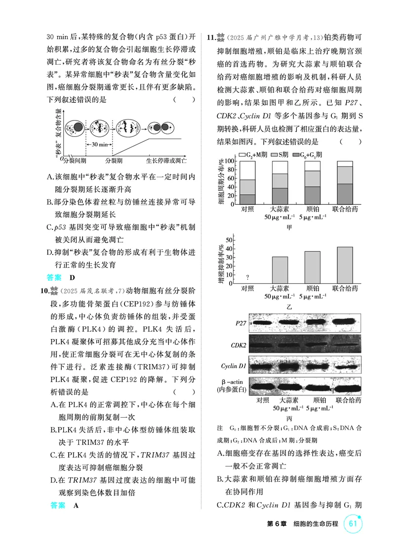 《1_精练册-第6章细胞的生命历程_2026版教学资源包_202653高考总复习A版_广东版_2026版.广东版.选考总复习.生物.5·3A版_第1部分分子与细胞_第6章细胞的生命历程_4_PDF教参电子书》第3页预览