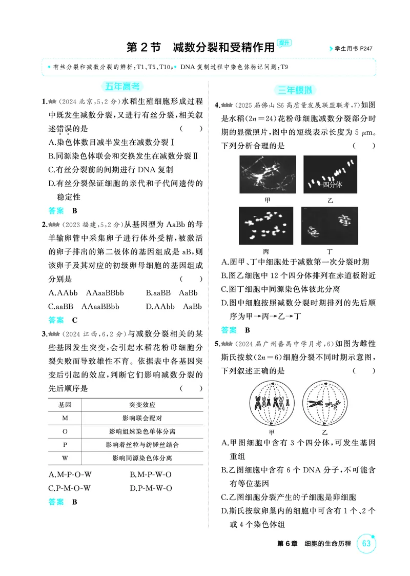 《1_精练册-第6章细胞的生命历程_2026版教学资源包_202653高考总复习A版_广东版_2026版.广东版.选考总复习.生物.5·3A版_第1部分分子与细胞_第6章细胞的生命历程_4_PDF教参电子书》第5页预览