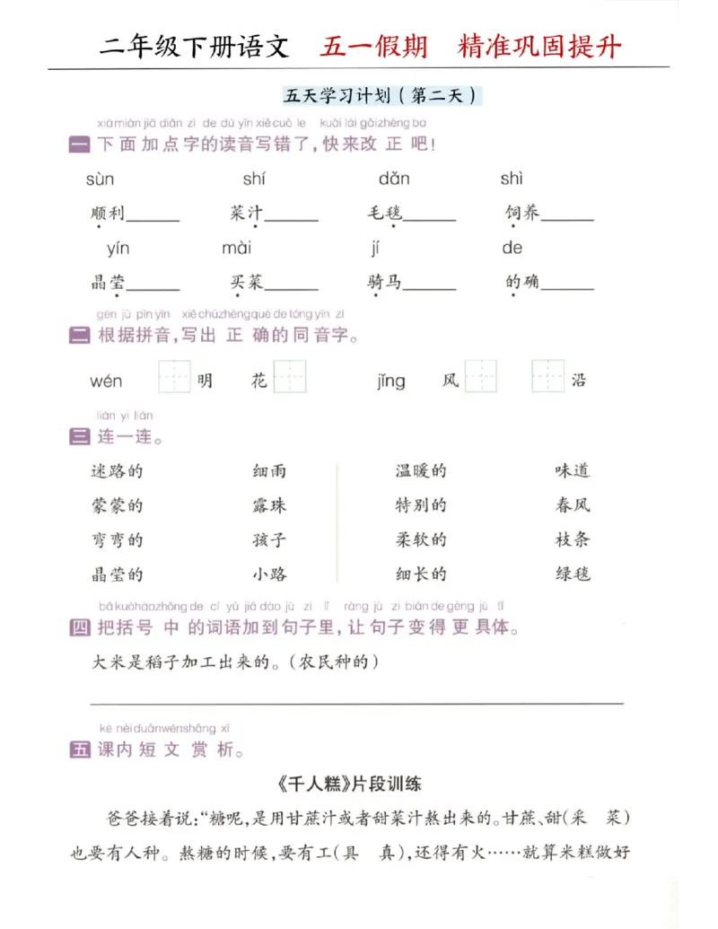 《二年级（下）语文五一假期精准巩固提升_2年级下册同步教辅_2下-语文_二下语文-专项练习》第2页预览