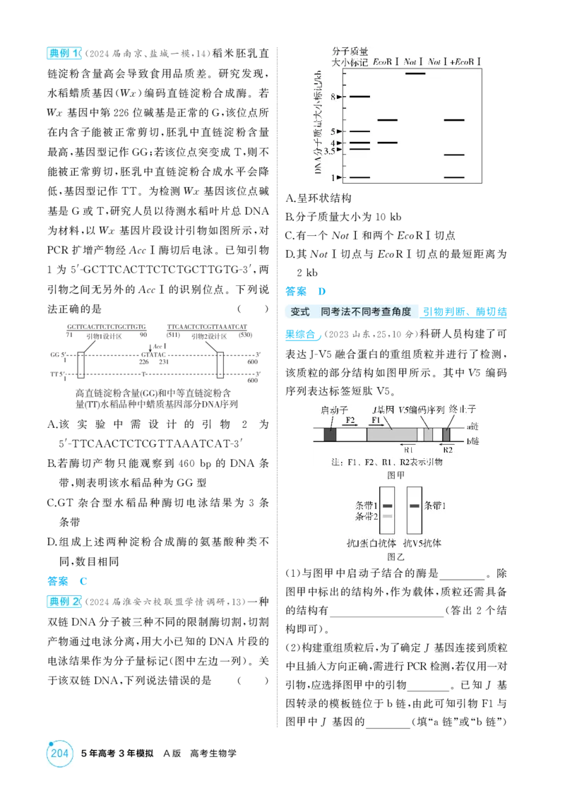 《1_精讲册-第23章　基因工程_2026版教学资源包_202653高考总复习A版_江苏版_2026版.江苏版.选考总复习.生物.5·3A版_第5部分生物技术与工程_第23章基因工程_2_精讲册PDF》第5页预览