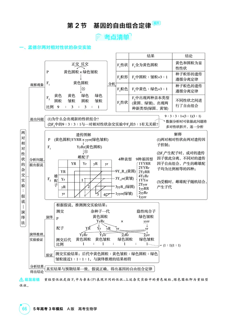 《1_精讲册PDF-第7章遗传因子的发现_2026版教学资源包_202653高考总复习A版_山东版_2026版.山东版.选考总复习.生物.5·3A版_第2部分遗传与进化_第7章遗传因子的发现_2_精讲册PDF》第8页预览