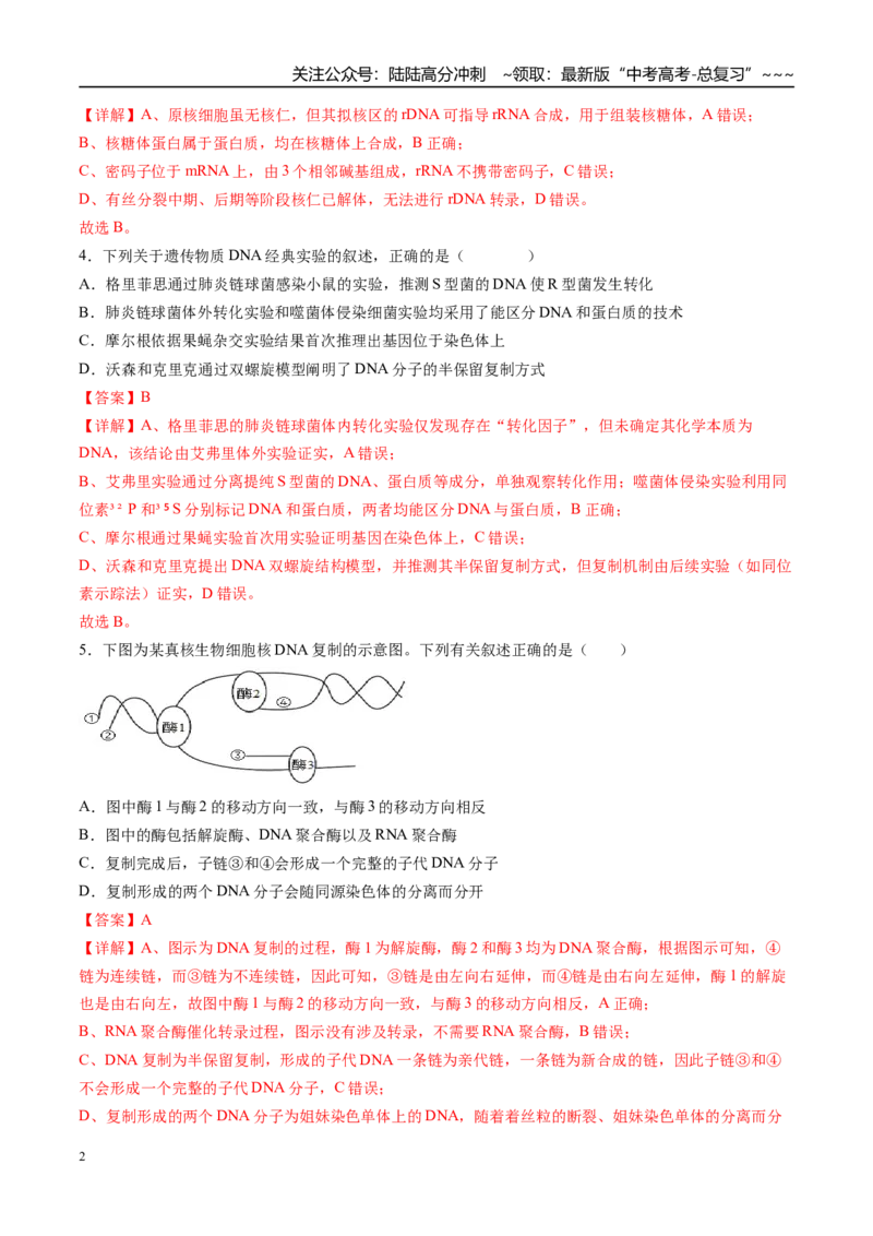 《第六单元遗传的分子基础（综合训练）（湖南专用）（教师版）_06-生物-高考总复习_一轮复习_2026年-生物高考一轮复习_2026年高考生物一轮课件+讲义+练习（湖南专用）-G331》第2页预览