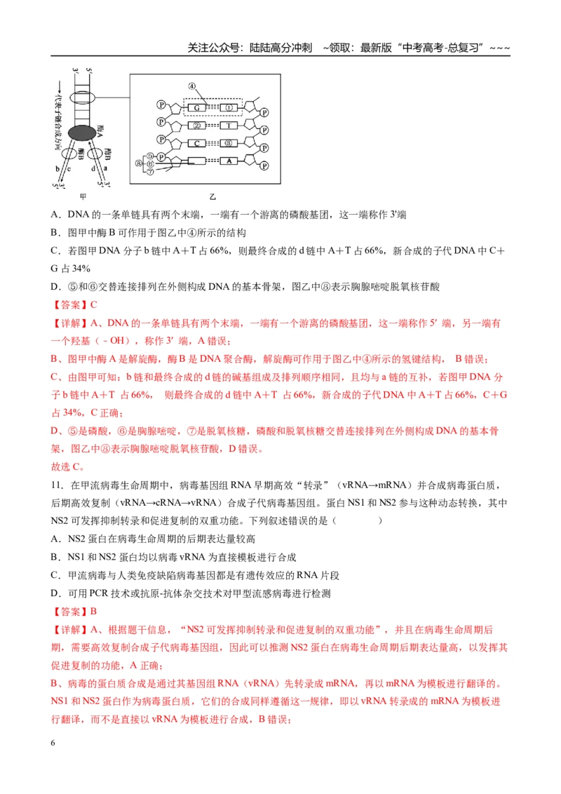 《第六单元遗传的分子基础（综合训练）（湖南专用）（教师版）_06-生物-高考总复习_一轮复习_2026年-生物高考一轮复习_2026年高考生物一轮课件+讲义+练习（湖南专用）-G331》第6页预览