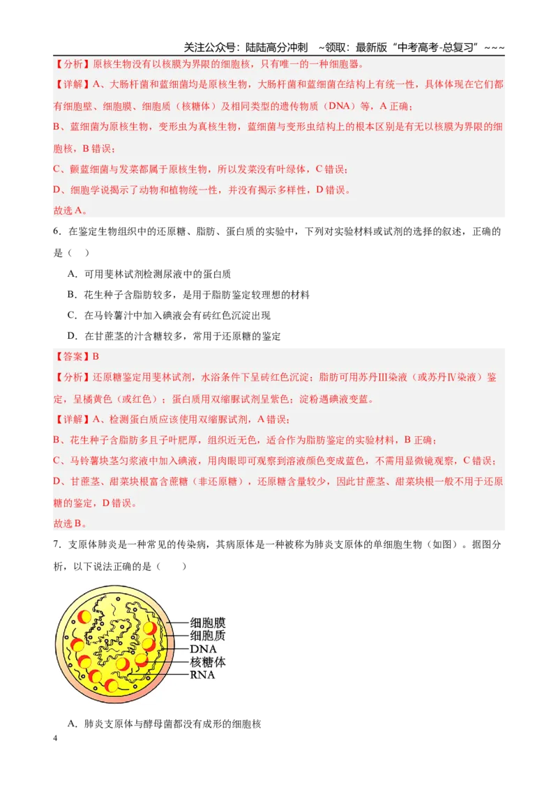 《第一单元细胞的概述及其分子组成（综合训练）（黑吉辽蒙专用）（教师版）_06-生物-高考总复习_一轮复习_2026年-生物高考一轮复习》第4页预览