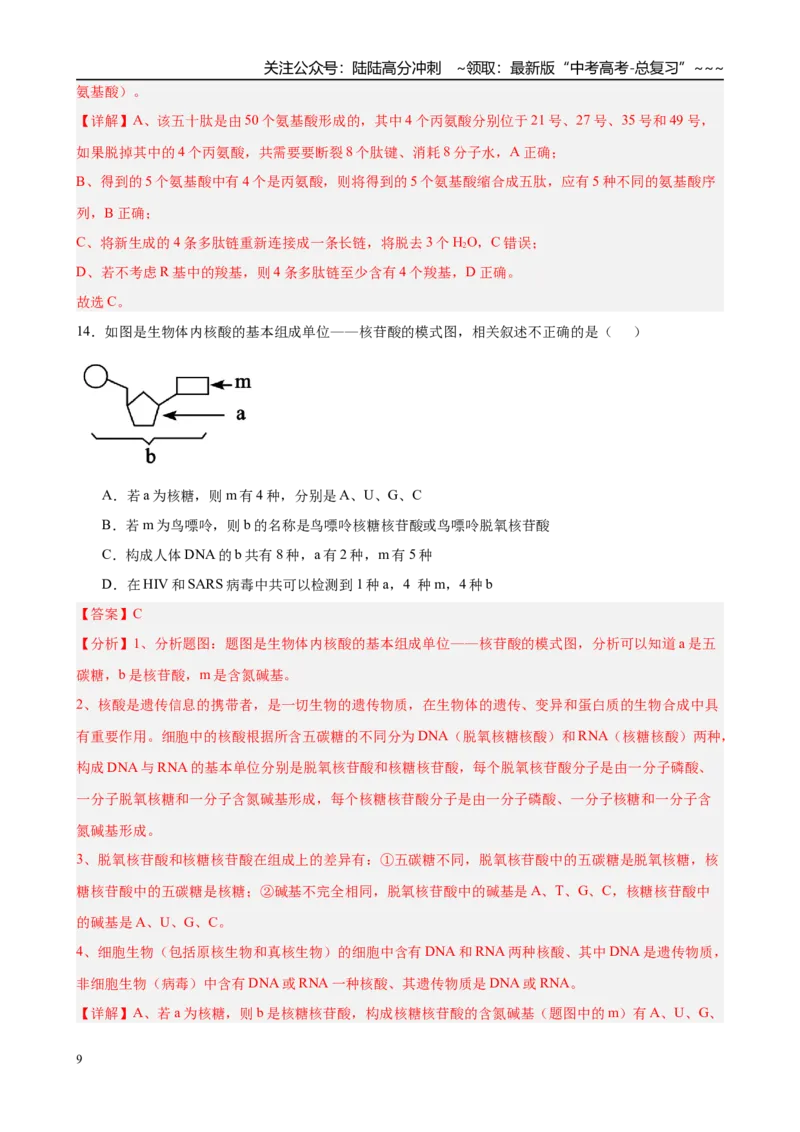 《第一单元细胞的概述及其分子组成（综合训练）（黑吉辽蒙专用）（教师版）_06-生物-高考总复习_一轮复习_2026年-生物高考一轮复习》第9页预览
