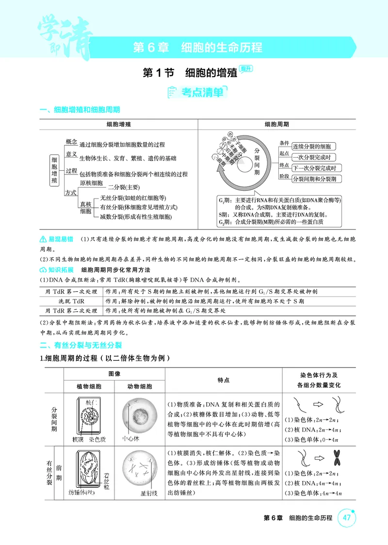 《1_精讲册PDF-第6章细胞的生命历程_2026版教学资源包_202653高考总复习A版_山东版_2026版.山东版.选考总复习.生物.5·3A版_第1部分分子与细胞_第6章细胞的生命历程_2_精讲册PDF》第1页预览