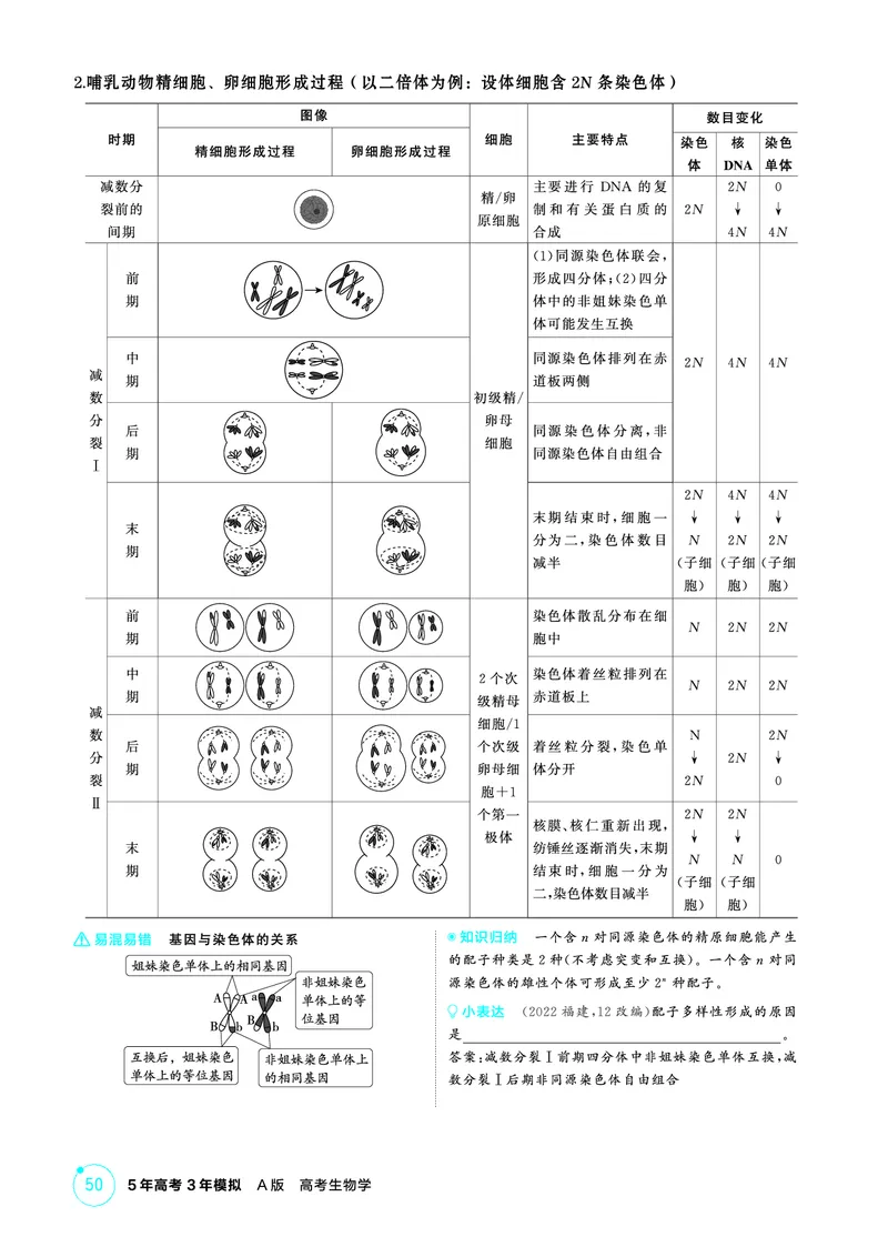 《1_精讲册PDF-第6章细胞的生命历程_2026版教学资源包_202653高考总复习A版_山东版_2026版.山东版.选考总复习.生物.5·3A版_第1部分分子与细胞_第6章细胞的生命历程_2_精讲册PDF》第4页预览